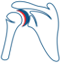 Shoulder Dislocation