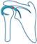 Superior Labral - SLAP Tears